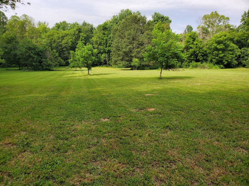 Large mowed field bordered by trees